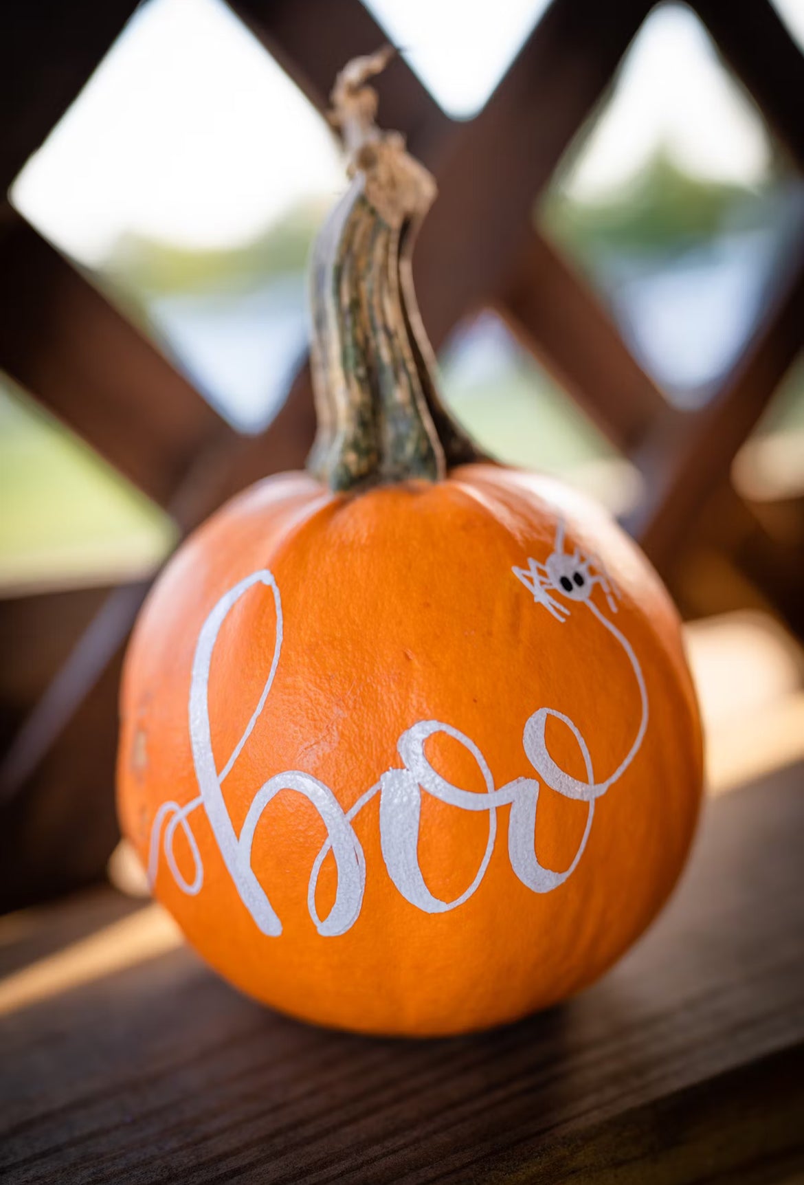Paint your own pumpkin